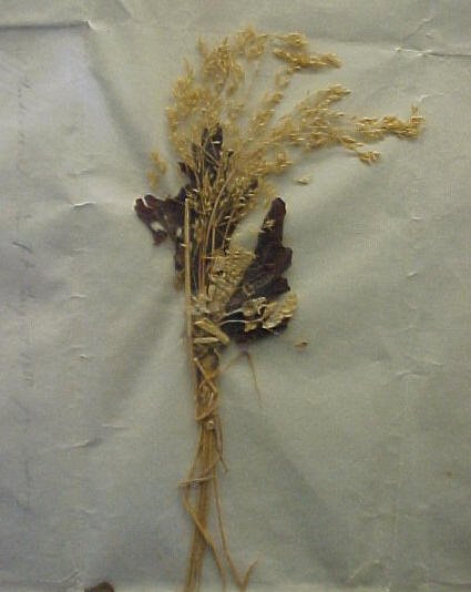 Flores que Riborg Voigt recibio de Hans - 7 de agosto de 1830